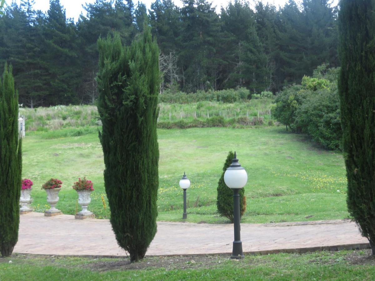 Cul De Sac - Accommodation George Bagian luar foto